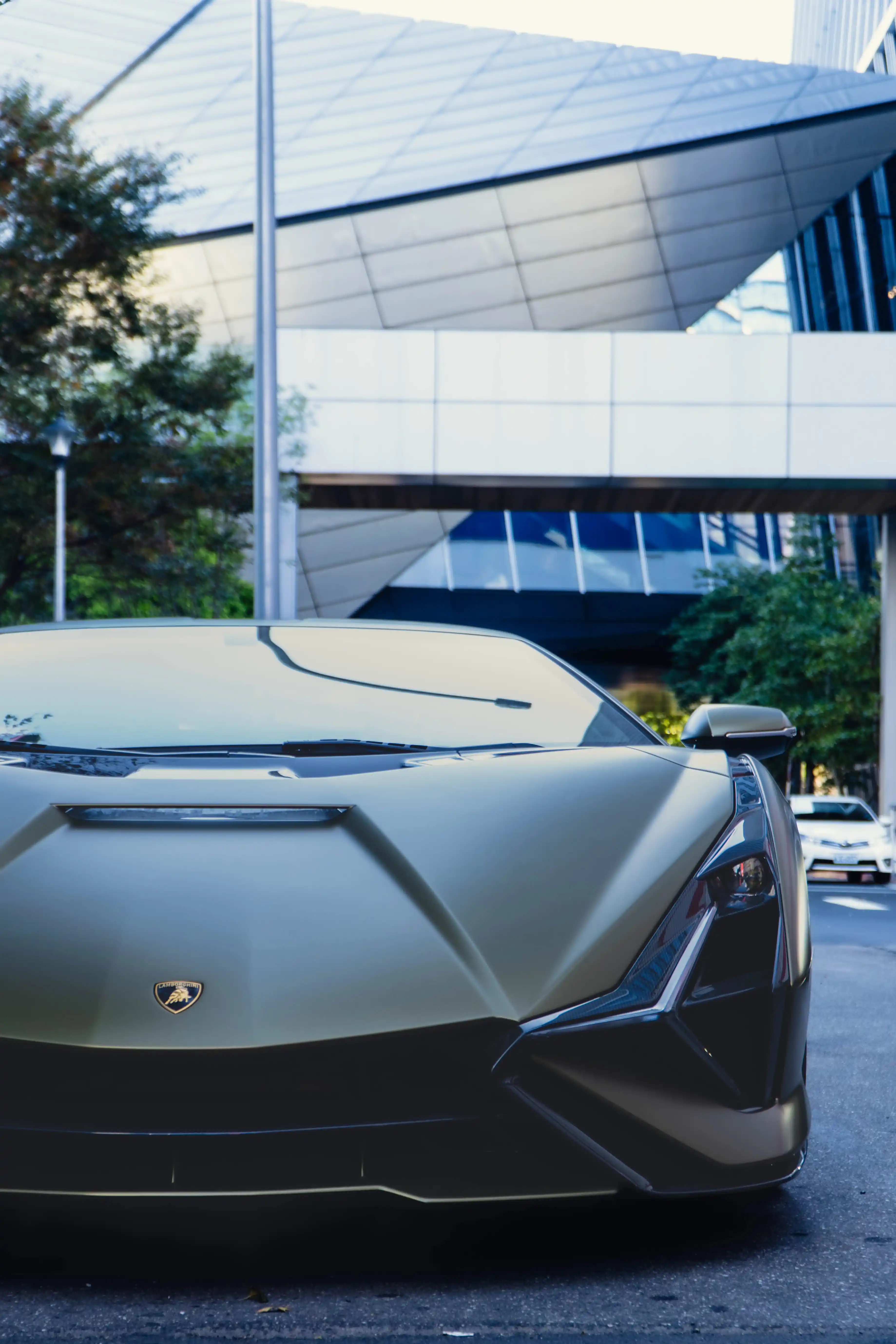 Lambo Photo 8